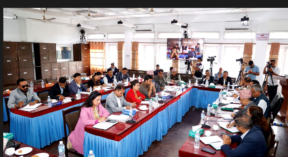PAC meeting: MPs emphasise on transparency in customs tax